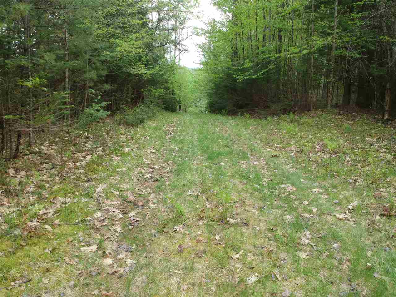 0 Bishop Road Lisbon, NH 03585 - Photo 11 of 14