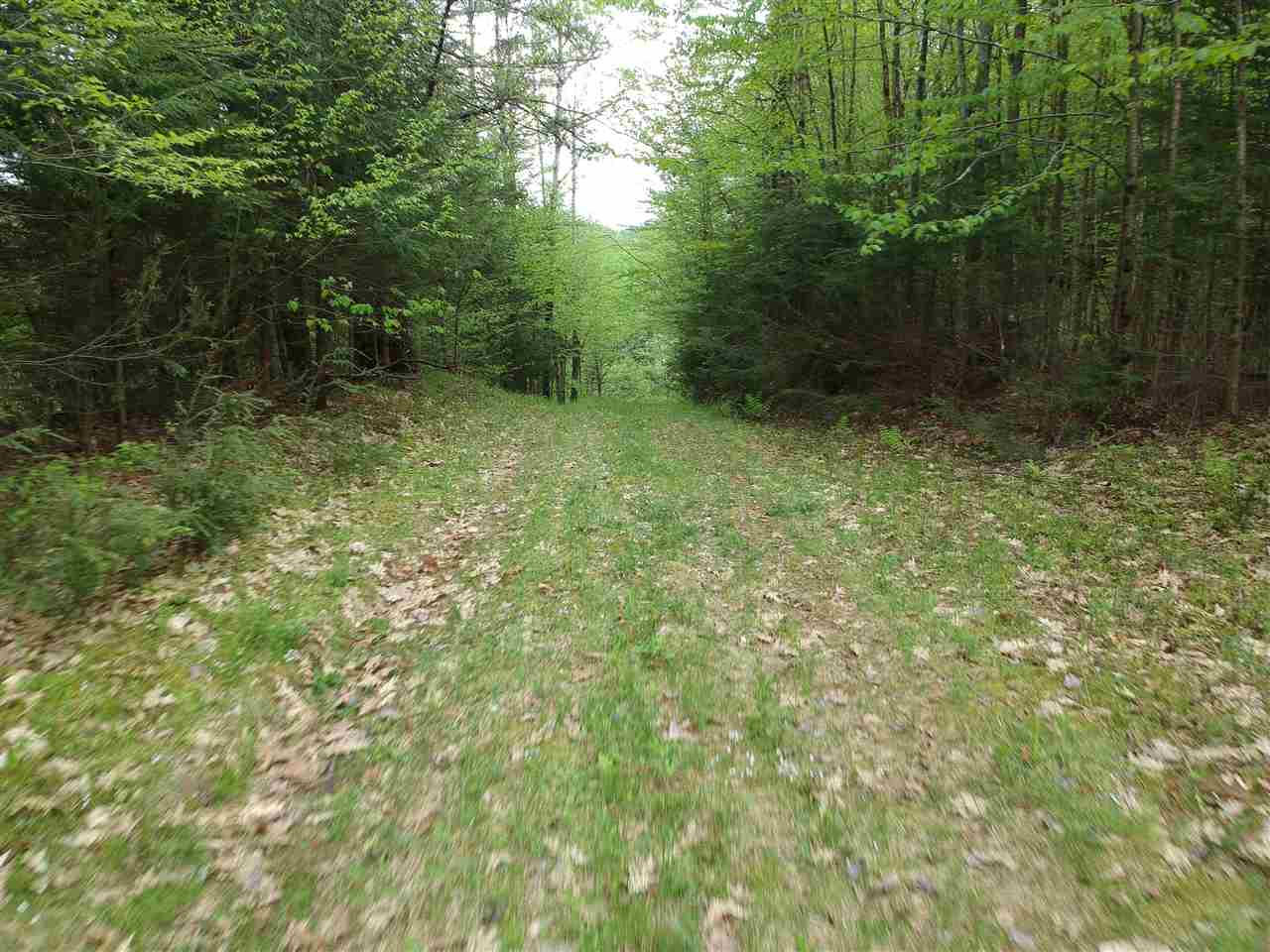 0 Bishop Road Lisbon, NH 03585 - Photo 12 of 14