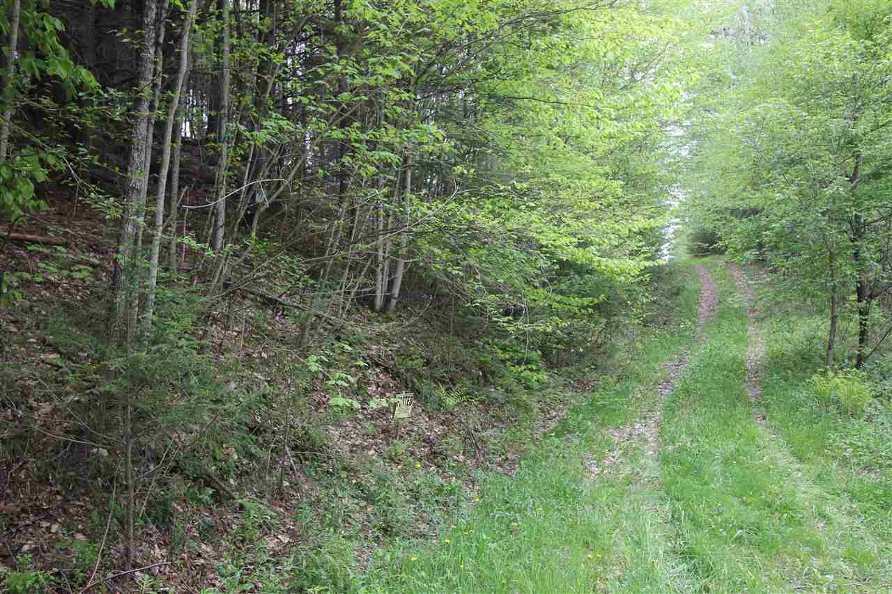 0 Bishop Road Lisbon, NH 03585 - Photo 13 of 14