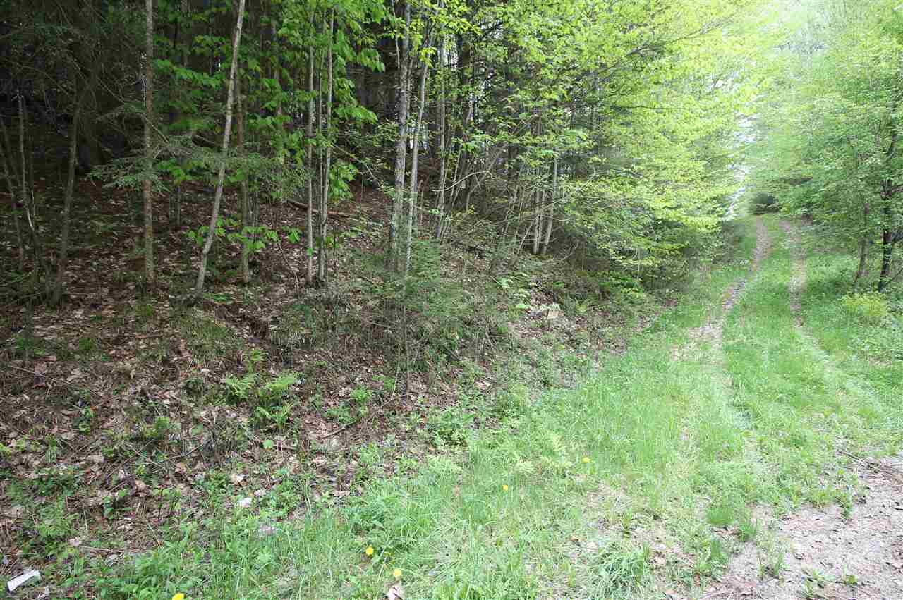 0 Bishop Road Lisbon, NH 03585 - Photo 14 of 14