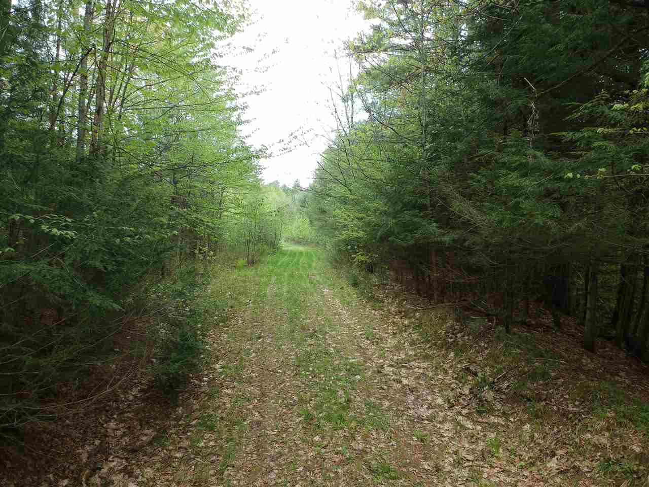0 Bishop Road Lisbon, NH 03585 - Photo 3 of 14