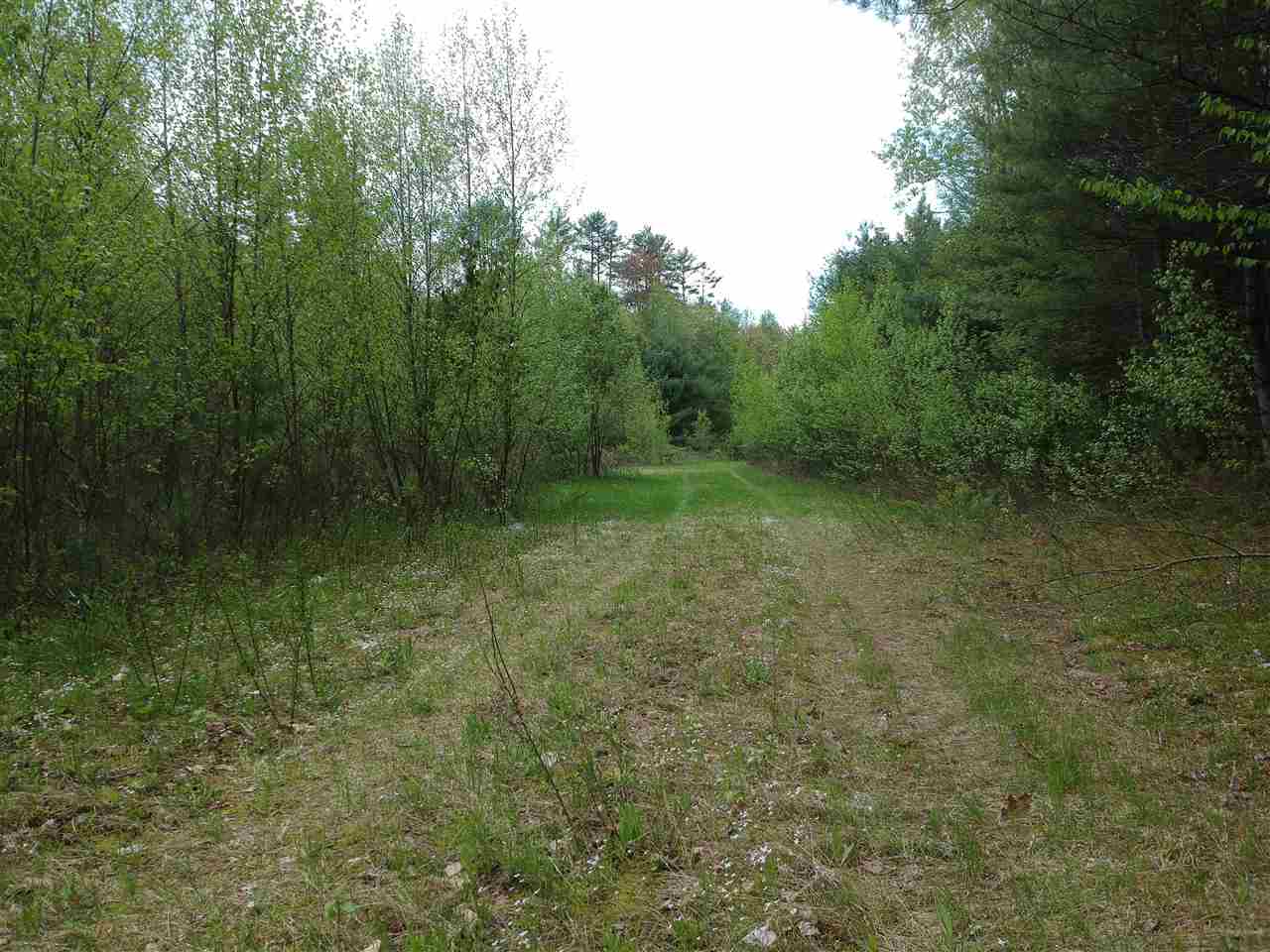 0 Bishop Road Lisbon, NH 03585 - Photo 4 of 14