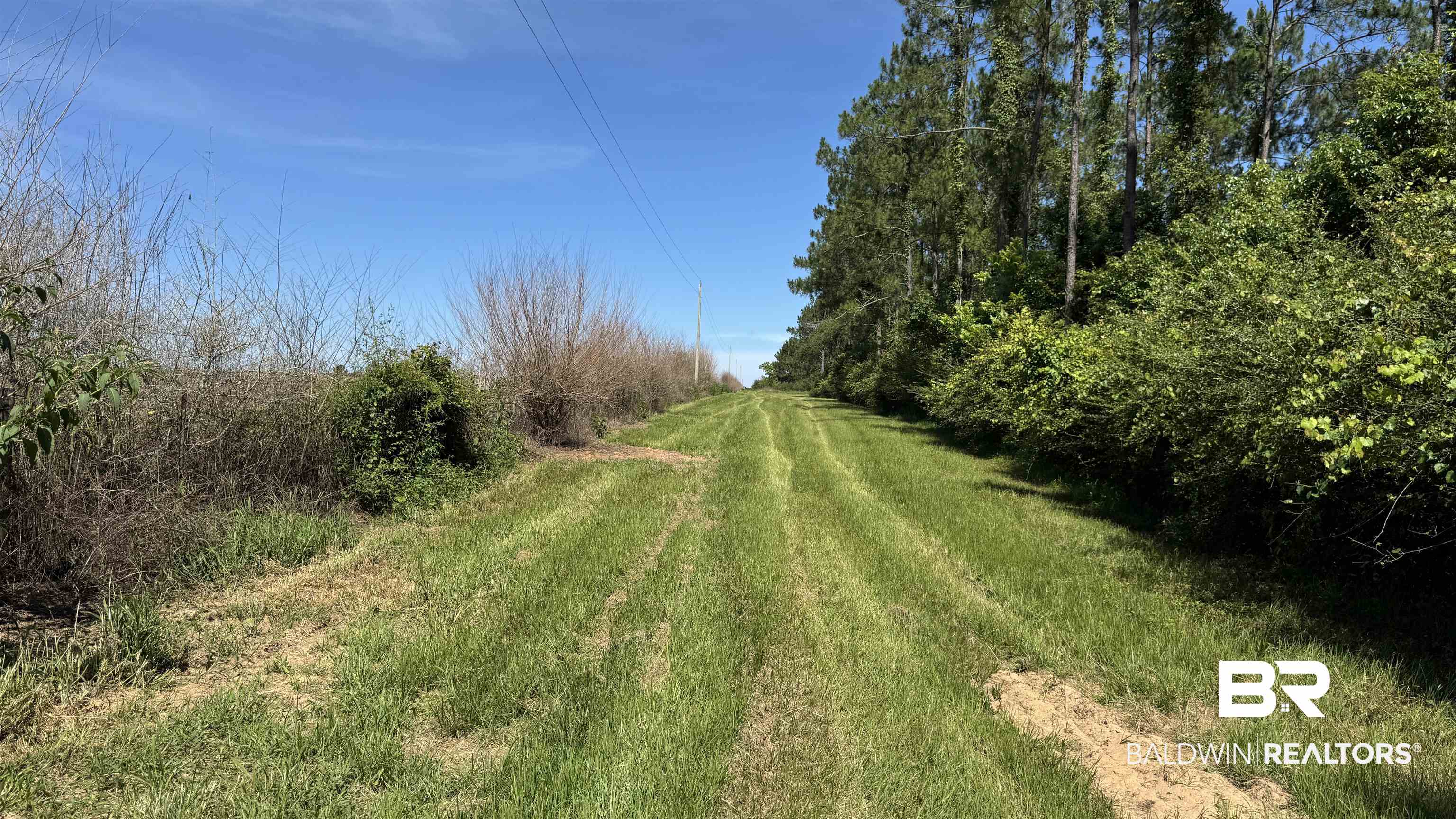 0 County Road 87 Elberta, AL 36530 - Photo 40 of 46