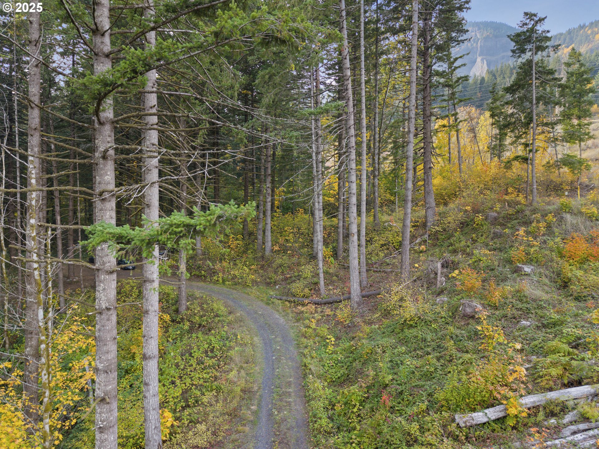 Warren Road, Unit 3 North Bonneville, WA 98639 - Photo 14 of 19 a bathroom with a shower