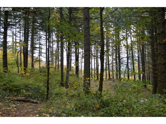 a view of swimming pool with a yard
