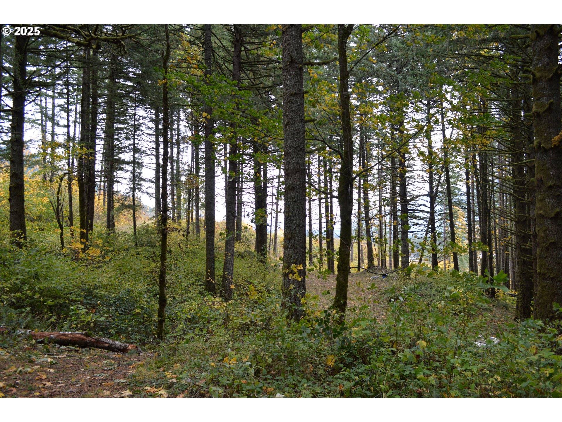 Warren Road, Unit 3 North Bonneville, WA 98639 - Photo 2 of 19 a view of swimming pool with a yard