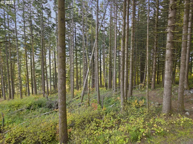 a view of outdoor space and garden