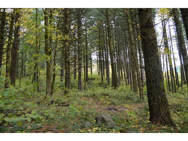 a view of outdoor space and green space