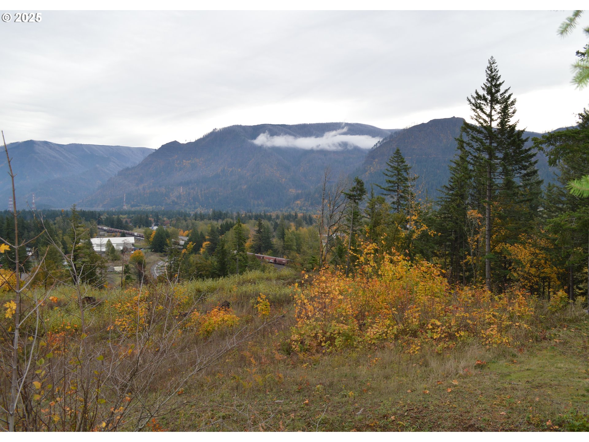 Warren Road, Unit 3 North Bonneville, WA 98639 - Photo 5 of 19 a view of lake and mountain