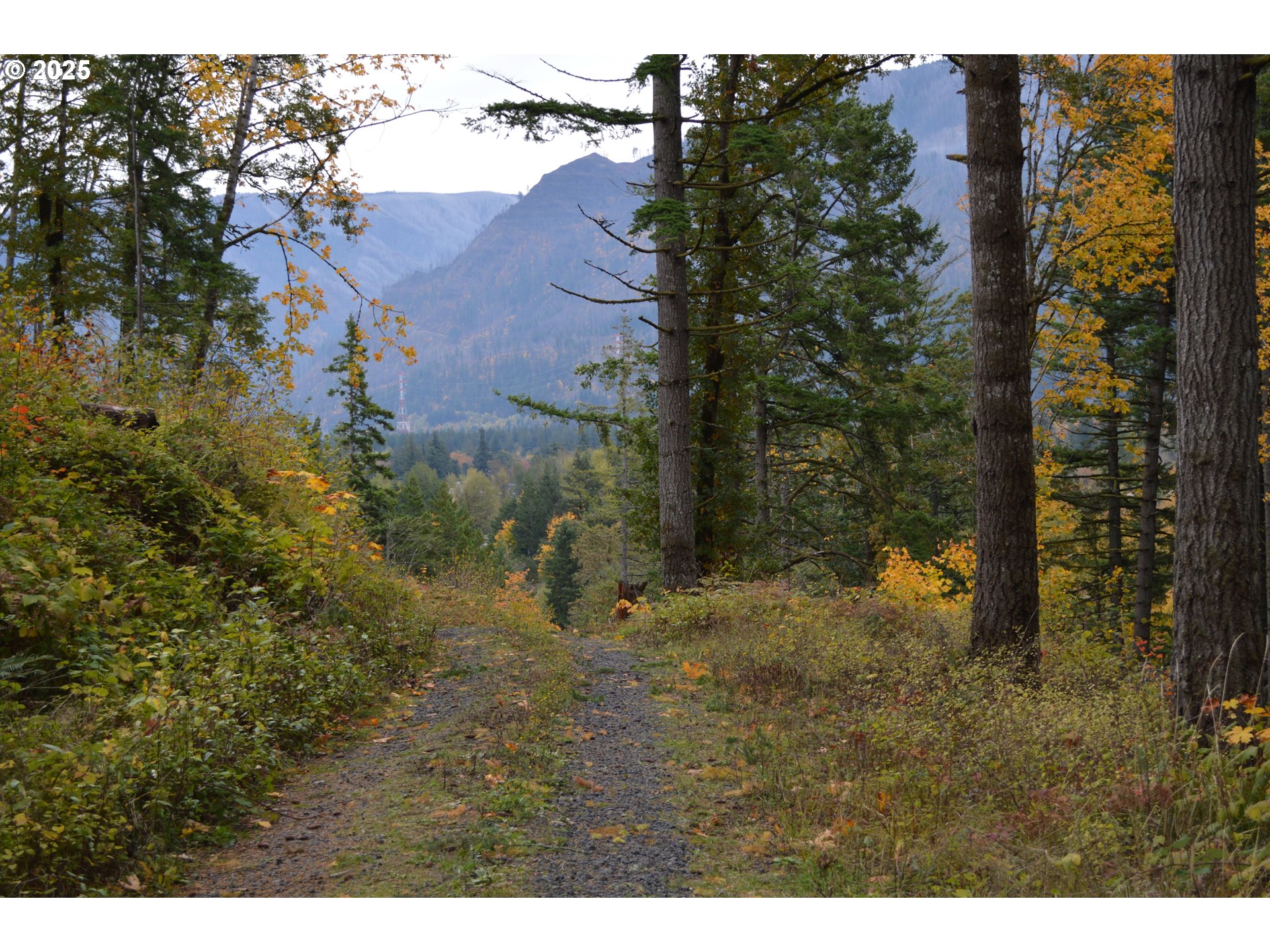 Warren Road, Unit 3 North Bonneville, WA 98639 - Photo 6 of 19 a view of outdoor space and yard