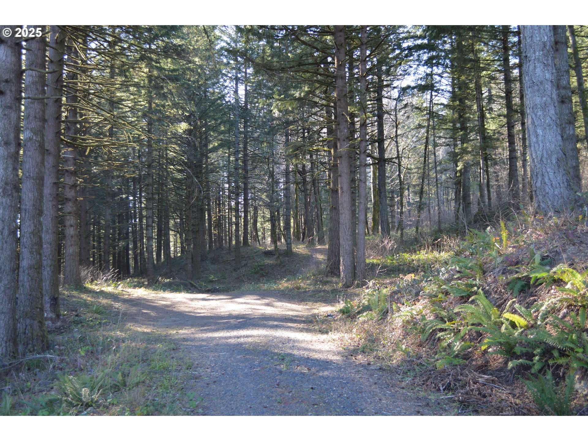 Warren Road, Unit 3 North Bonneville, WA 98639 - Photo 7 of 19 a view of outdoor space with trees