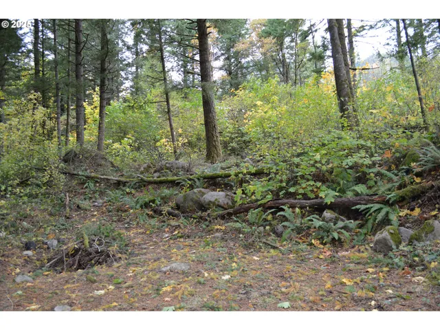 a view of outdoor space and trees