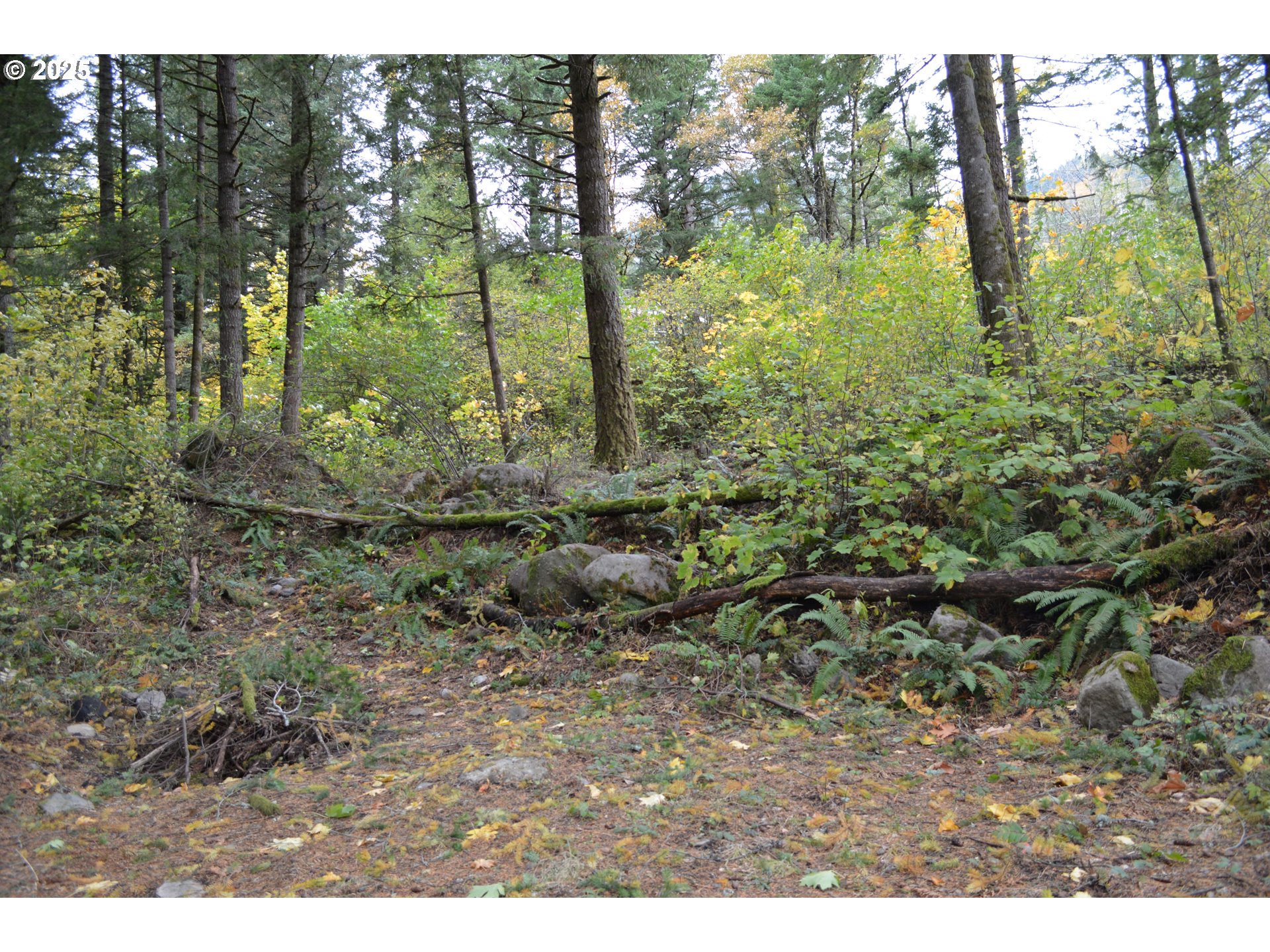 Warren Road, Unit 3 North Bonneville, WA 98639 - Photo 9 of 19 a view of outdoor space and trees