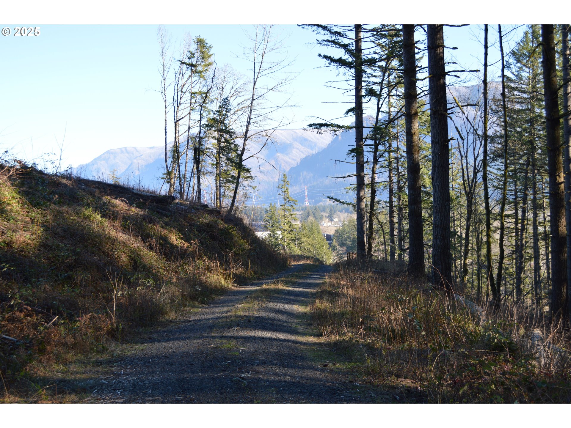 Warren Road, Unit 3 North Bonneville, WA 98639 - Photo 10 of 19 a view of outdoor space and yard
