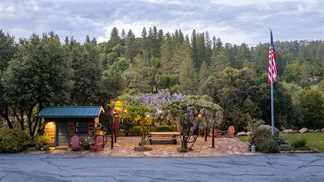 a view of a park with potted plants and large trees