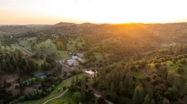 an aerial view of mountain with trees