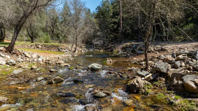 a view of swimming pool with a yard