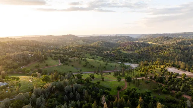 an aerial view of forest