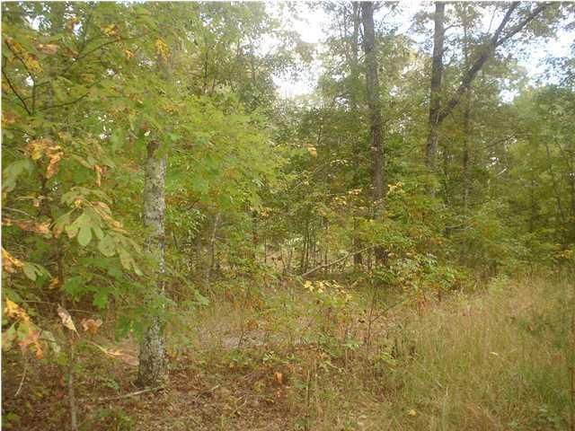 265 Laurel Ridge Dunlap, TN 37327 - Photo 3 of 9 3