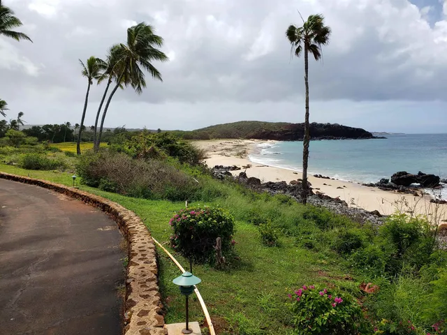 a view of a garden with a lake