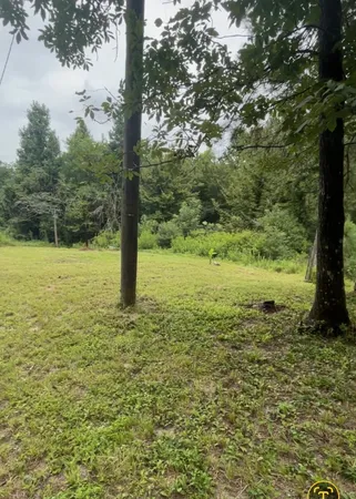 a view of a field with an trees