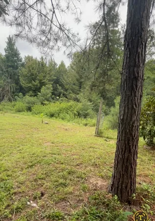 a view of a large yard with a large tree