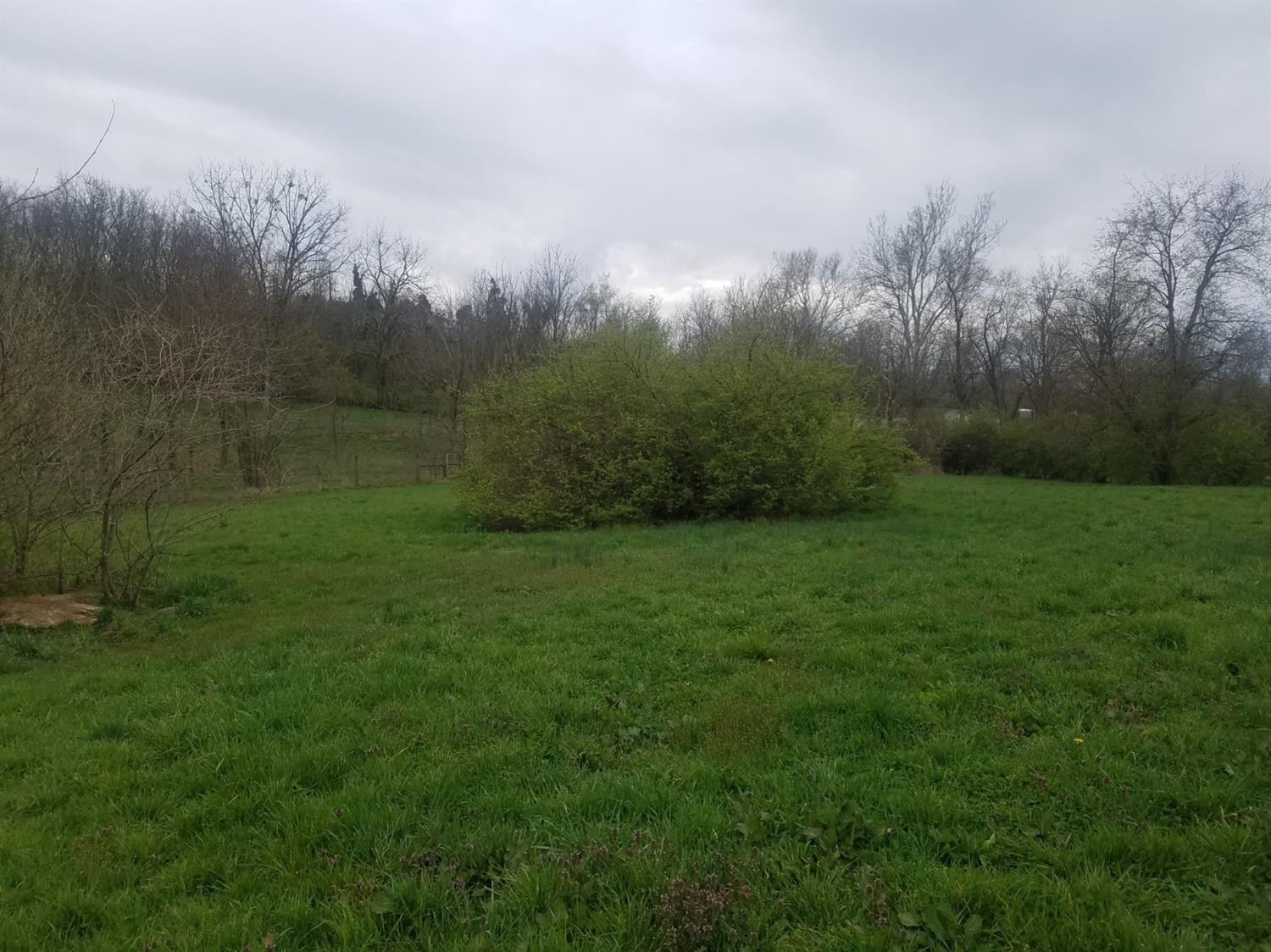 138 Prescott Road Paris, KY 40361 - Photo 30 of 33 Listing Photo