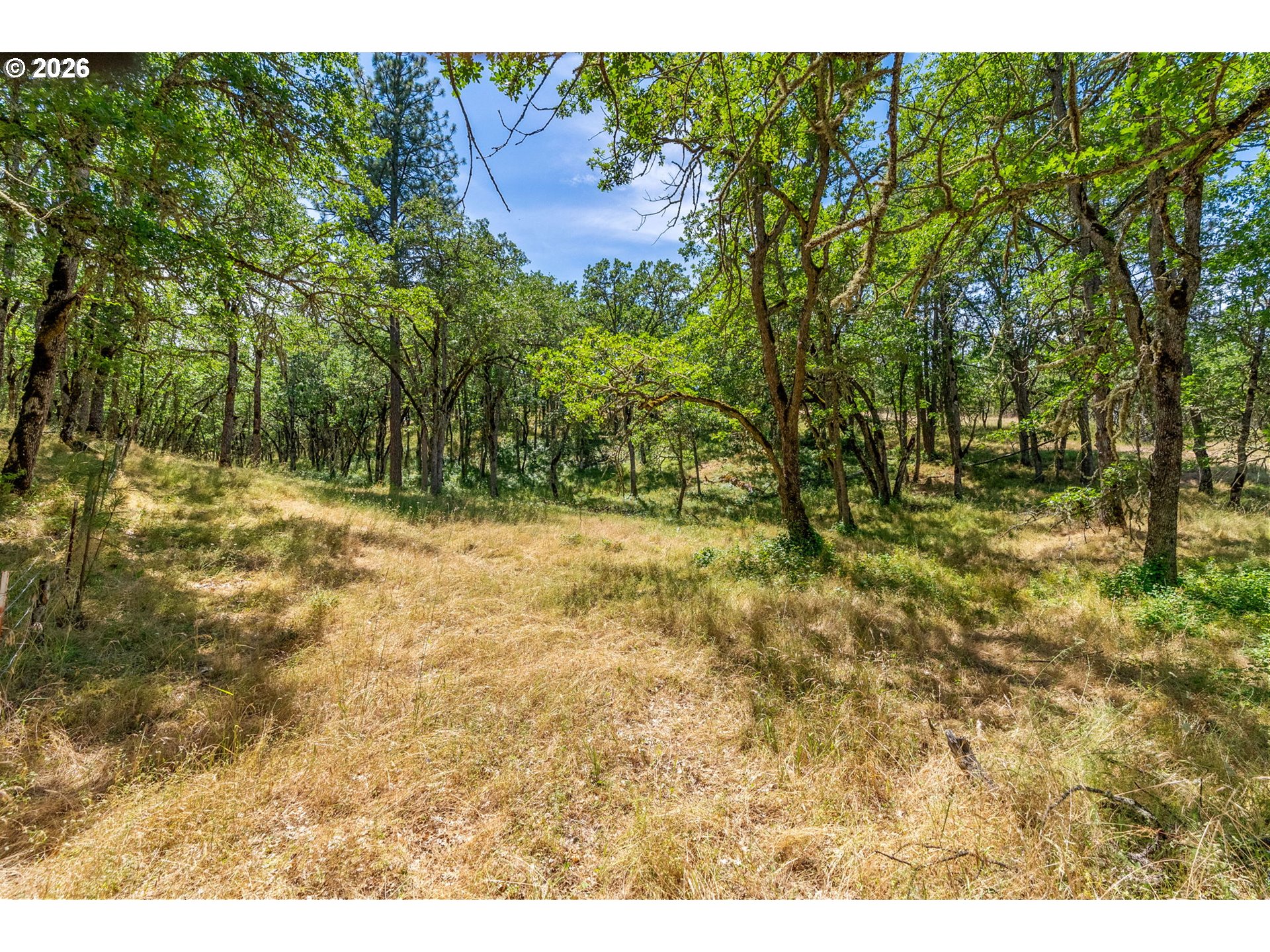 Rowland Road Lyle, WA 98635 - Photo 11 of 19