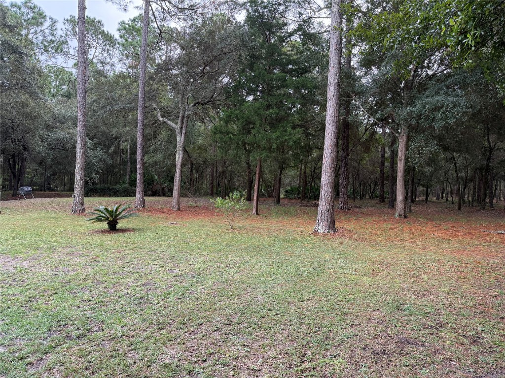 96118 Green Pine Road Yulee, FL 32097 - Photo 20 of 20 a view of outdoor space with a garden
