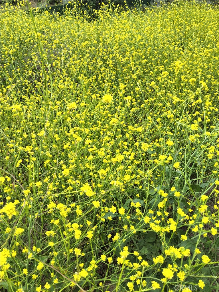 0 Th Val Verde, CA 91384 - Photo 4 of 5