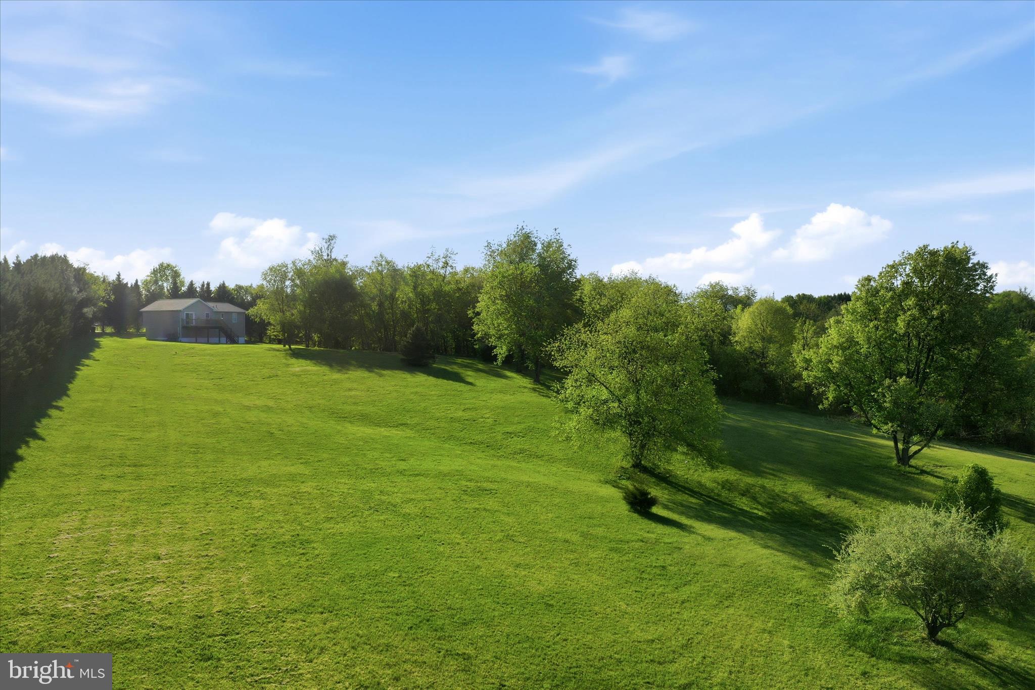 174 Open Field Lane Falling Waters, WV 25419 - Photo 53 of 56 Gently rolling yard w/ clear space & woods