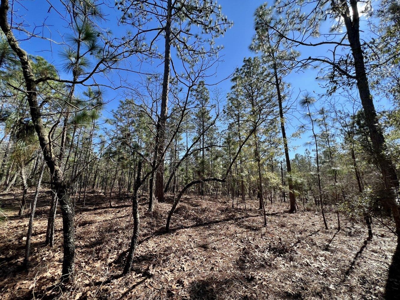 0 Dixon Road Bay Minette, AL 36507 - Photo 26 of 50