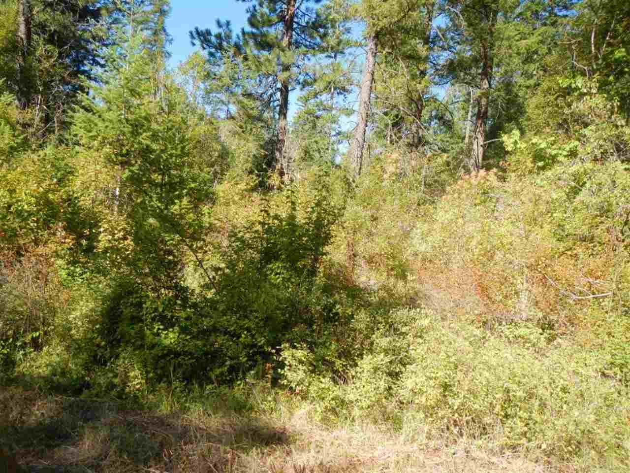 16620 East Jackson Road Chattaroy, WA 99003 - Photo 1 of 7