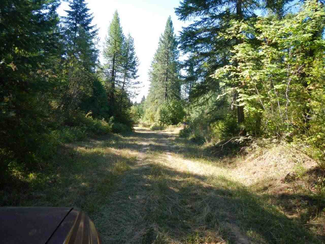 16620 East Jackson Road Chattaroy, WA 99003 - Photo 2 of 7