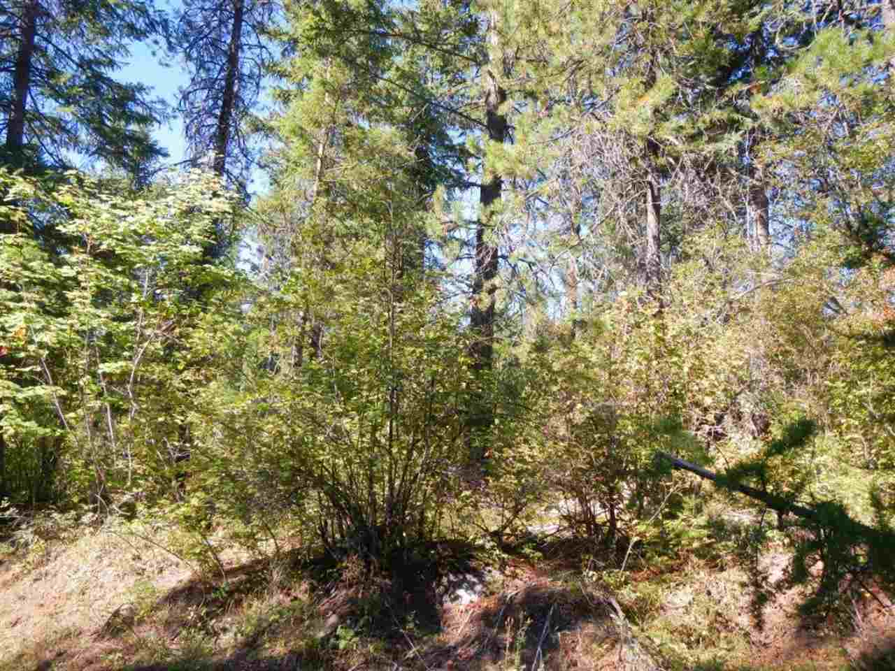 16620 East Jackson Road Chattaroy, WA 99003 - Photo 3 of 7