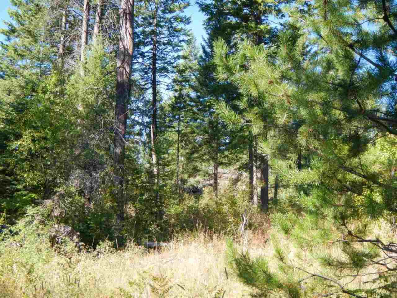 16620 East Jackson Road Chattaroy, WA 99003 - Photo 4 of 7