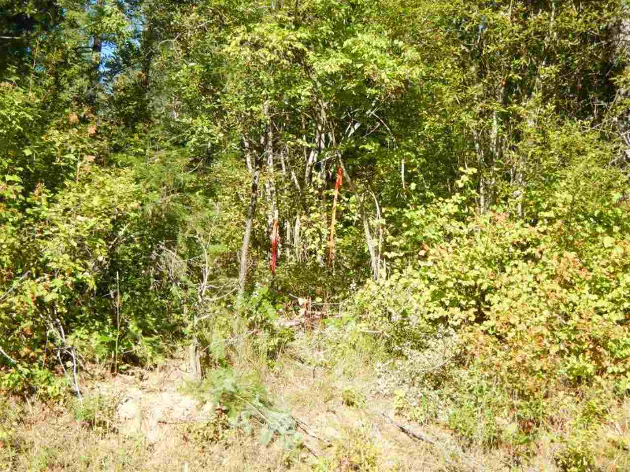 16620 East Jackson Road Chattaroy, WA 99003 - Photo 5 of 7