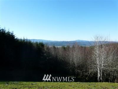 149 Ridgeview Road Chehalis, WA 98532 - Photo 1 of 1