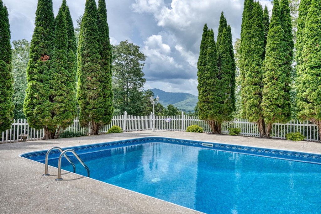 266 East Wright Road Blairsville, GA 30512 - Photo 3 of 95