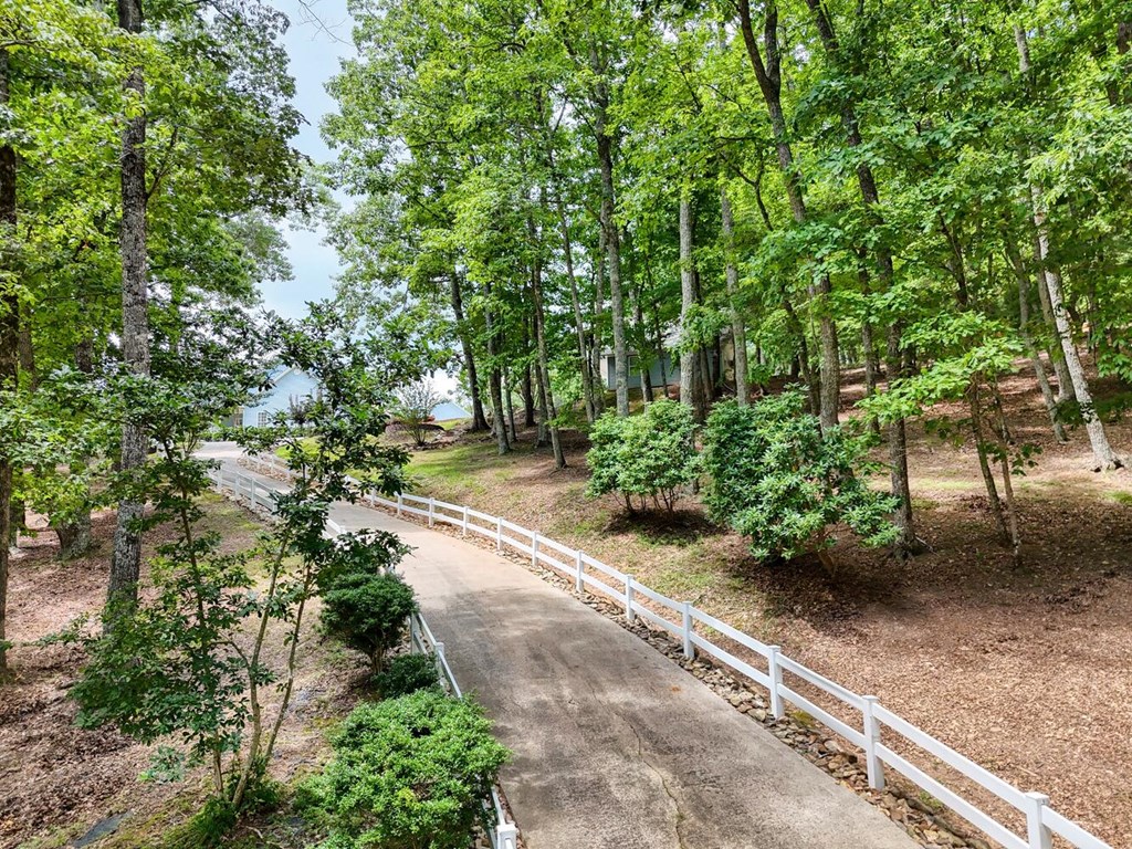 266 East Wright Road Blairsville, GA 30512 - Photo 80 of 95