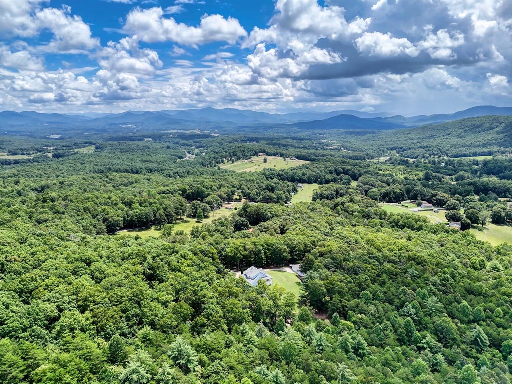 266 East Wright Road Blairsville, GA 30512 - Photo 91 of 95