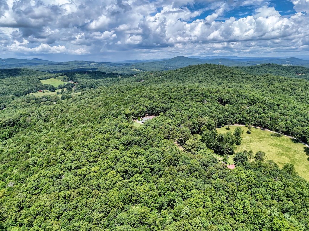 266 East Wright Road Blairsville, GA 30512 - Photo 93 of 95