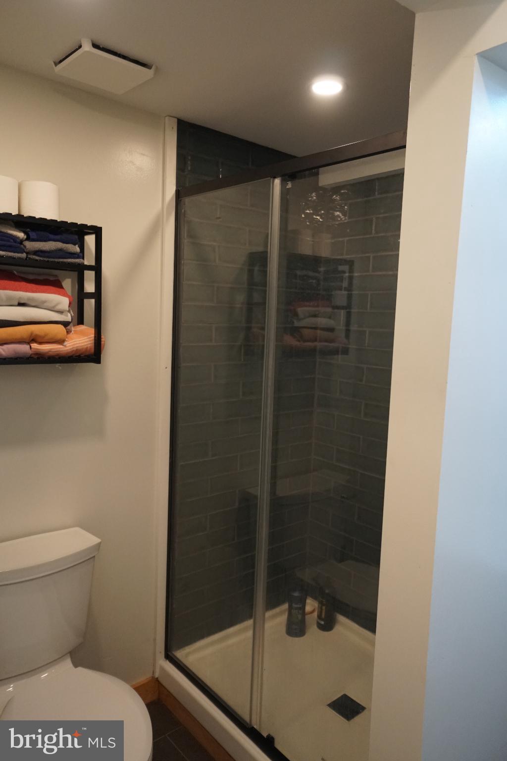 789 Upper South Branch Road Franklin, WV 26807 - Photo 25 of 50 a bathroom with a shower and a toilet