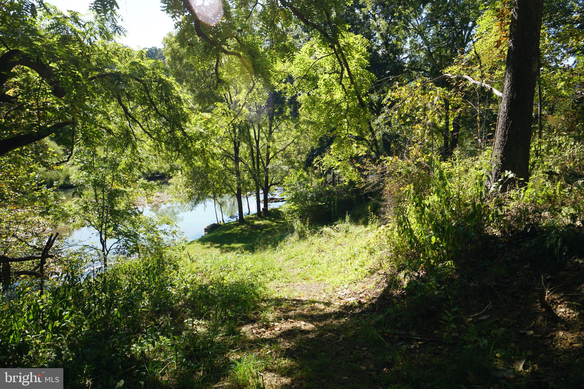 789 Upper South Branch Road Franklin, WV 26807 - Photo 31 of 50 a view of a yard with plants and large trees