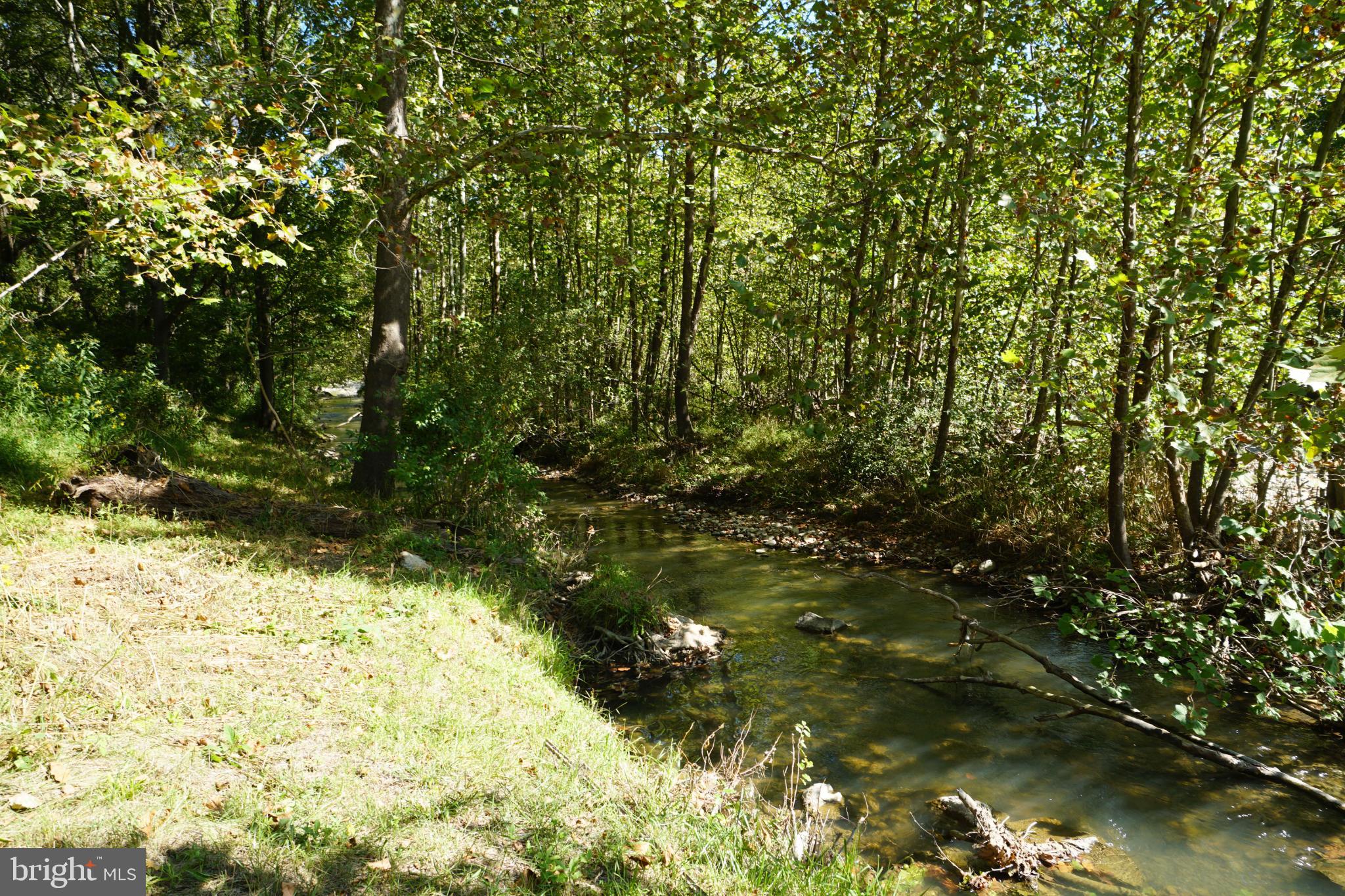 789 Upper South Branch Road Franklin, WV 26807 - Photo 33 of 50 a view of a yard