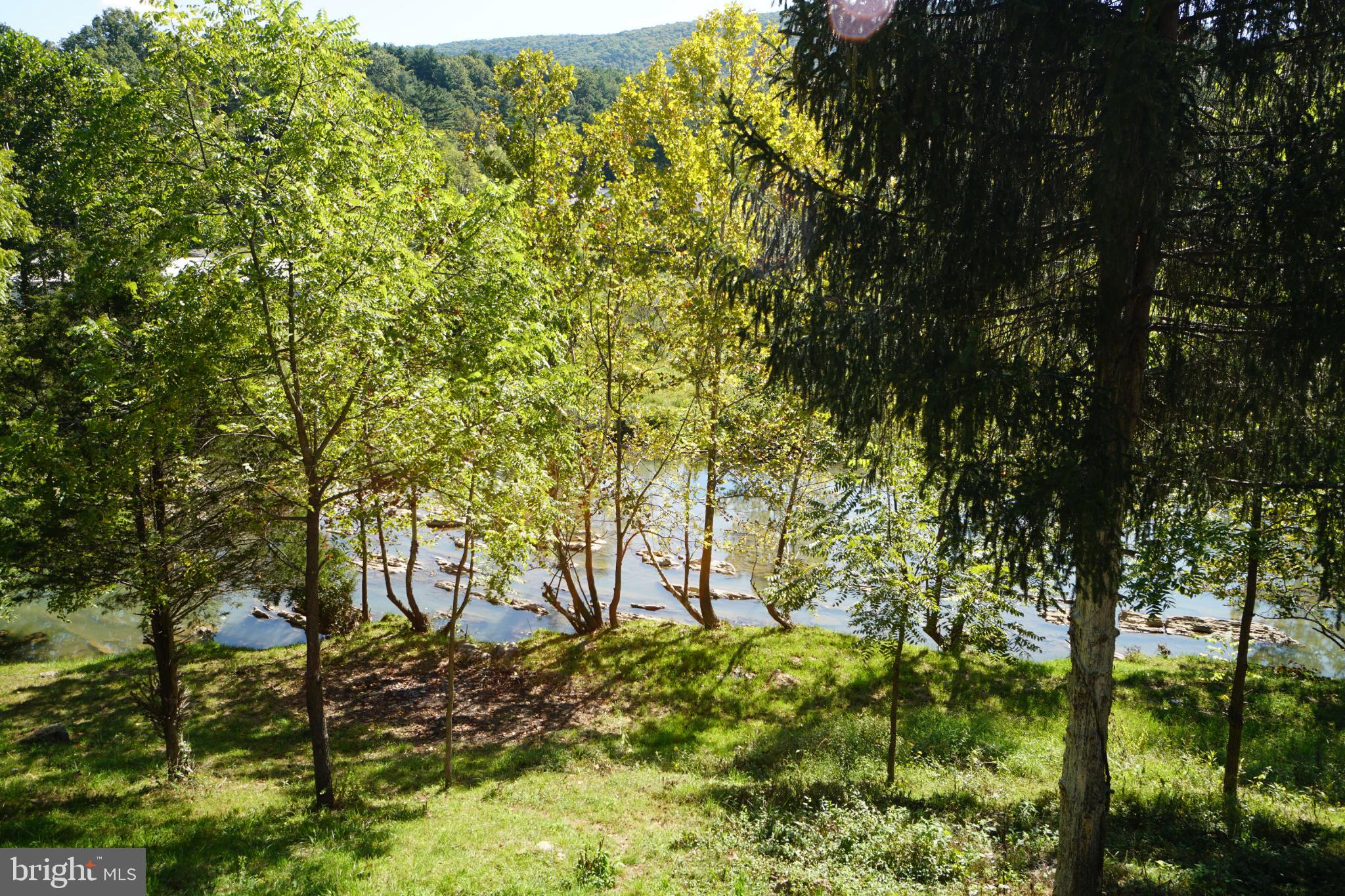 789 Upper South Branch Road Franklin, WV 26807 - Photo 40 of 50