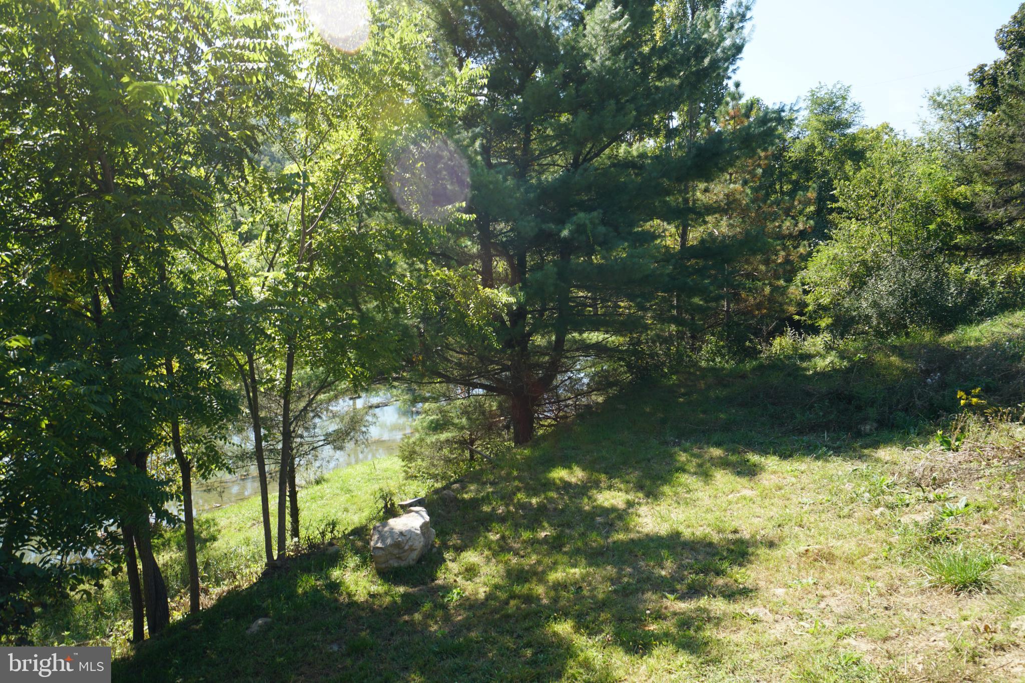 789 Upper South Branch Road Franklin, WV 26807 - Photo 41 of 50 a backyard of a house with lots of green space