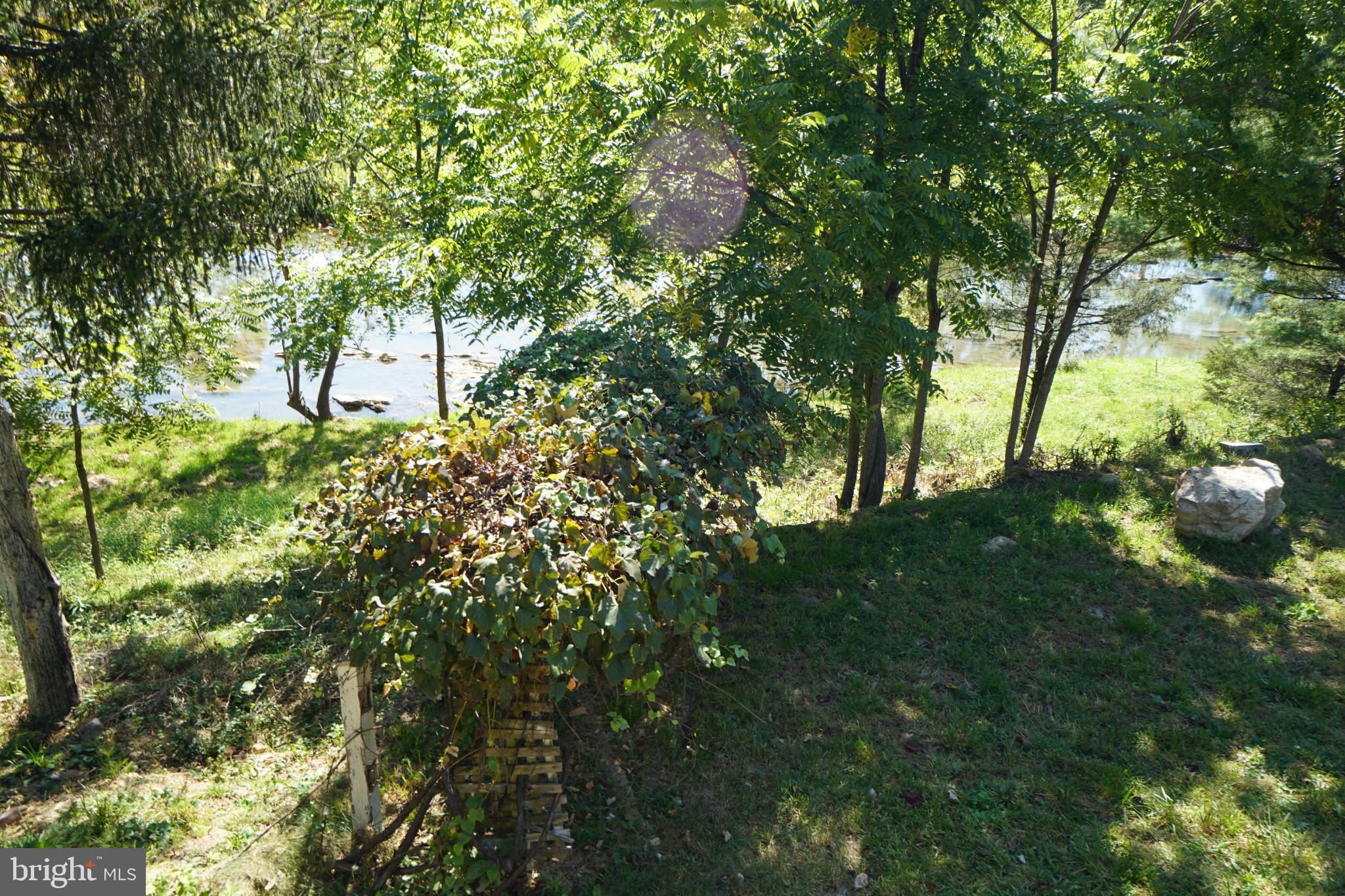 789 Upper South Branch Road Franklin, WV 26807 - Photo 42 of 50 a backyard of a house with lots of plants and trees
