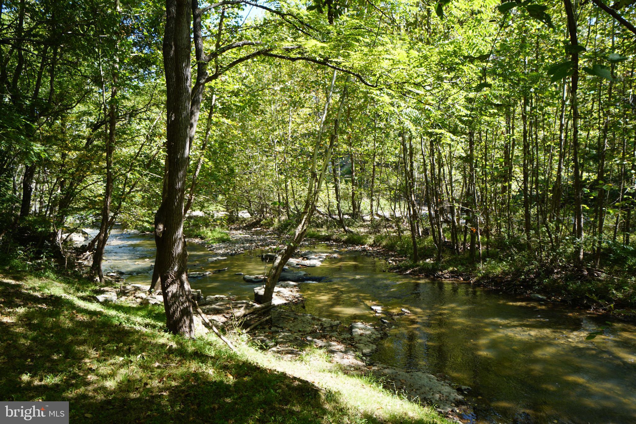 789 Upper South Branch Road Franklin, WV 26807 - Photo 45 of 50 a view of tree