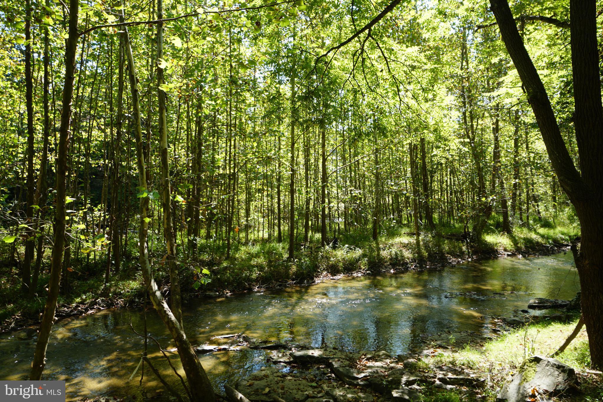 789 Upper South Branch Road Franklin, WV 26807 - Photo 46 of 50 a view of lake
